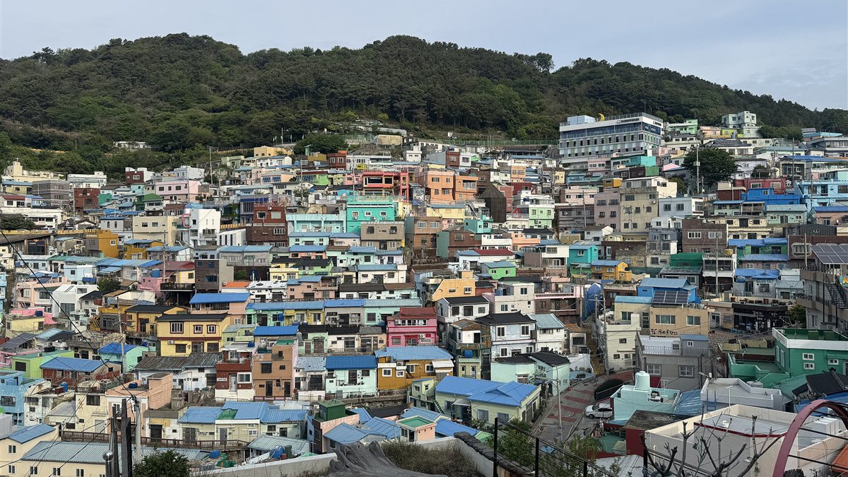 Colorful houses stacked up a green hillside at Gamcheon Culture Village